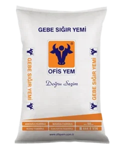 Gebe sığır yemi