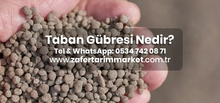 Taban gübresi nedir?